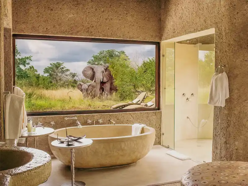Bathroom with a view of elephants